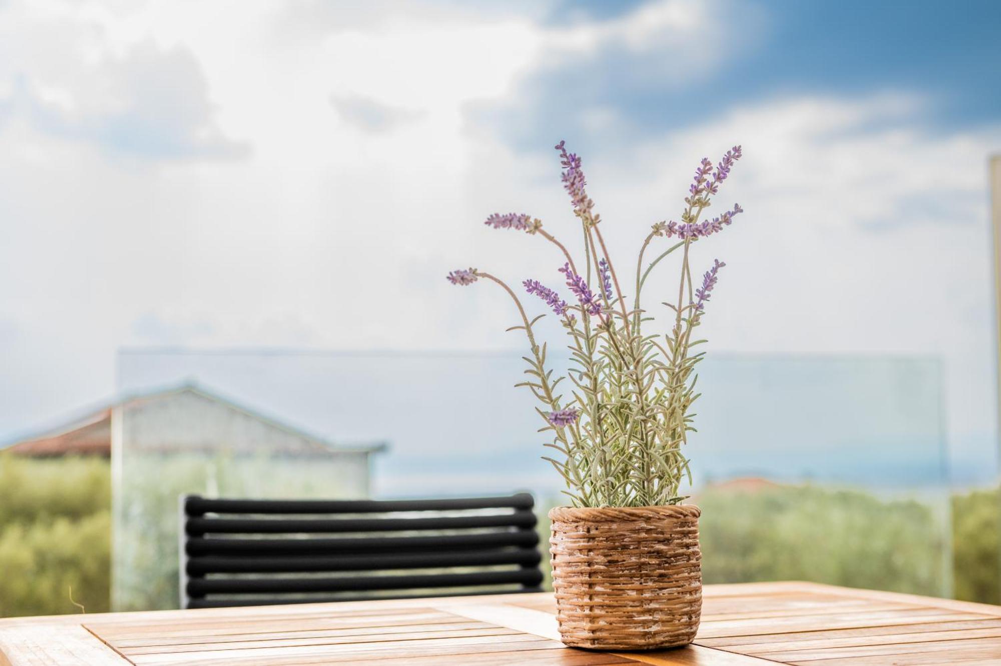 Petradi Suites Каламата Экстерьер фото